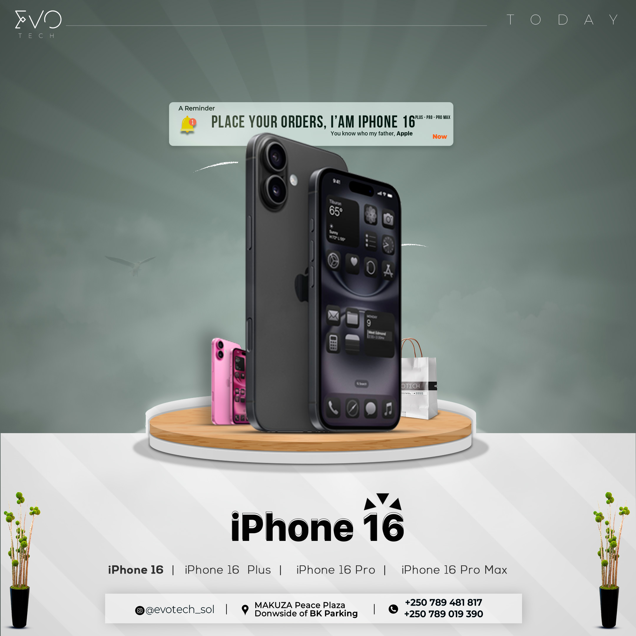 Smartphones product lineup